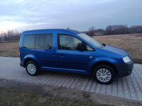 1.6 B 7 Osobowy Bezwypadkowy Super Stan. Chynów - zdjęcie 6