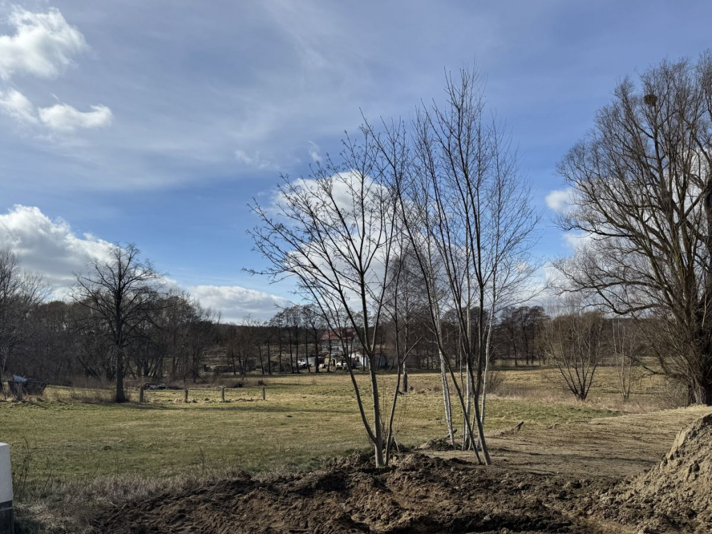 Duża działka budowlano-usługowa w Rębiechowie! Gdańsk - zdjęcie 10