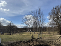 Duża działka budowlano-usługowa w Rębiechowie! Gdańsk - zdjęcie 10