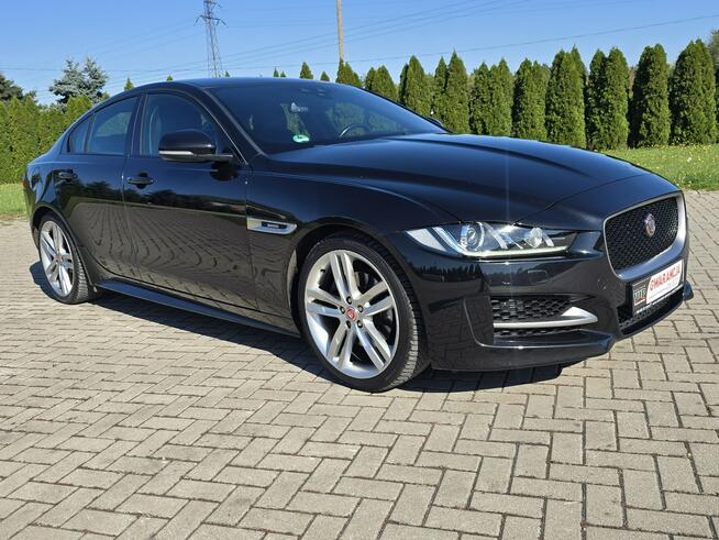 2.0Diesel. Serwis.Automat.Ledy.Xenony.Navi.Kam.Cof.Asyst.Parkowania. Kutno - zdjęcie 3