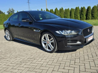 2.0Diesel. Serwis.Automat.Ledy.Xenony.Navi.Kam.Cof.Asyst.Parkowania. Kutno - zdjęcie 3
