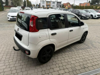 Fiat Panda !! Rezerwacja !! Orzech - zdjęcie 6
