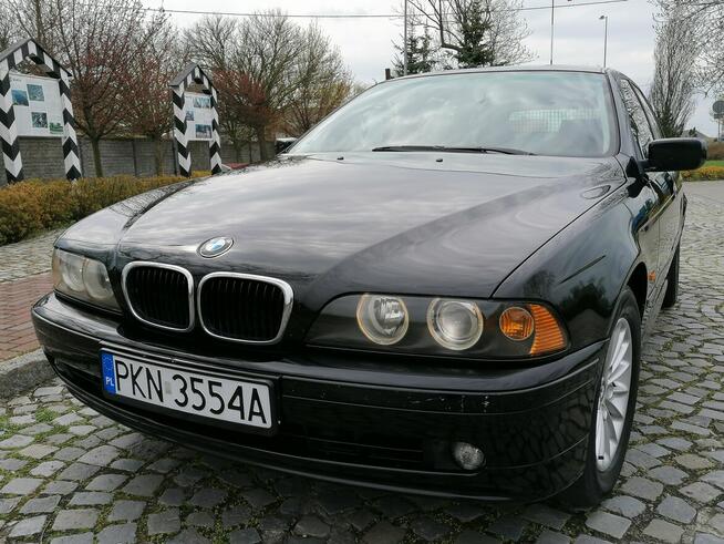 BMW 530d * lift * 2003 * 3.0 diesel 193 km * Możliwa Zamiana Strzałkowo - zdjęcie 5