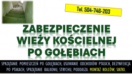 Sprzątanie wieży kościelnej po gołębiach. T.504746203 Ptasich odchodów Psie Pole - zdjęcie 3