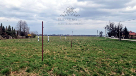 Działka siedliskowa 3000m2 z MPZP gm. Kąty Wrocławskie Kąty Wrocławskie - zdjęcie 8