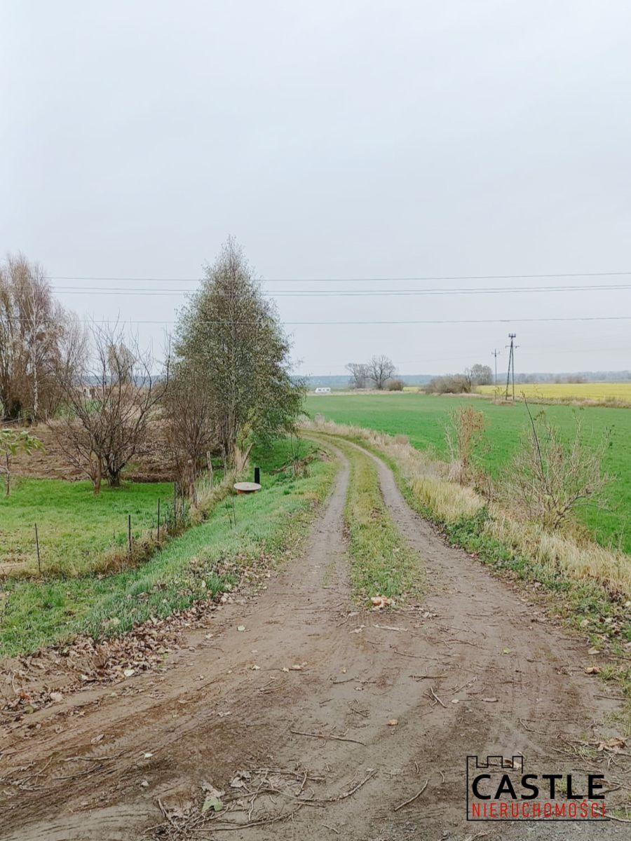 Wyspa Sobieszewska I budowa I rodzina I dom Gdańsk - zdjęcie 3