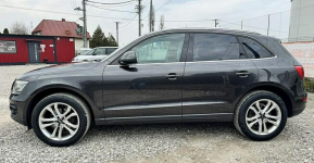 Audi Q5 Bi-Xenon 4x4 Gwarancja Kutno - zdjęcie 9