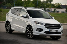 Ford Kuga 1,5*180KM*St-line*Bi-Xenon*Panorama*El klapa*Navi*4x4 Ostrów Mazowiecka - zdjęcie 4