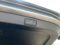 Škoda Octavia Style 2.0 TDI DSG 150KM 2024 1WŁ SalonPL Gwarancja FV23% Kielce - zdjęcie 10
