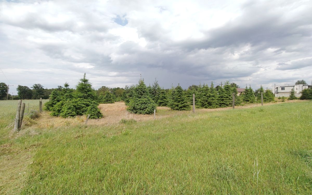 Działka z WZ blisko Nowego Tomyśla. Glinno - zdjęcie 6