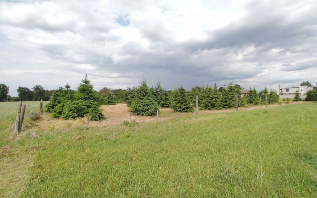 Działka z WZ blisko Nowego Tomyśla. Glinno - zdjęcie 6