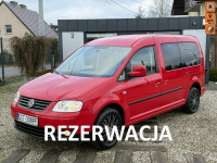Volkswagen Caddy *MAXI*DSG*1.9 tdi*7-osobowy*nowy rozrząd*z Niemiec*