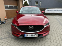 Mazda CX-5 2,2 175KM  Kraj  Serwis  Automat Orzech - zdjęcie 2