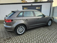 Audi A3 1.4 TFSi 125KM xenon BEZWYPADEK 5 drzwi ZADBANY BDB stan Gdynia - zdjęcie 4