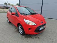 Ford KA Serwis.Bezwypadek Stargard - zdjęcie 8