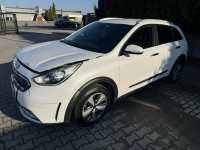 Kia Niro Zielona Łąka - zdjęcie 5