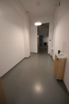 Lokal Handlowo/Usługowy (165m2) okolice Słowiańskiej (Wrocław) Śródmieście - zdjęcie 6