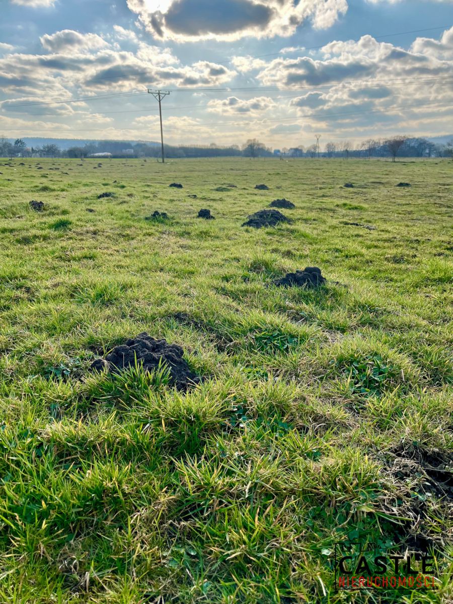 Oaza spokoju| Działki Redzie Reda - zdjęcie 6