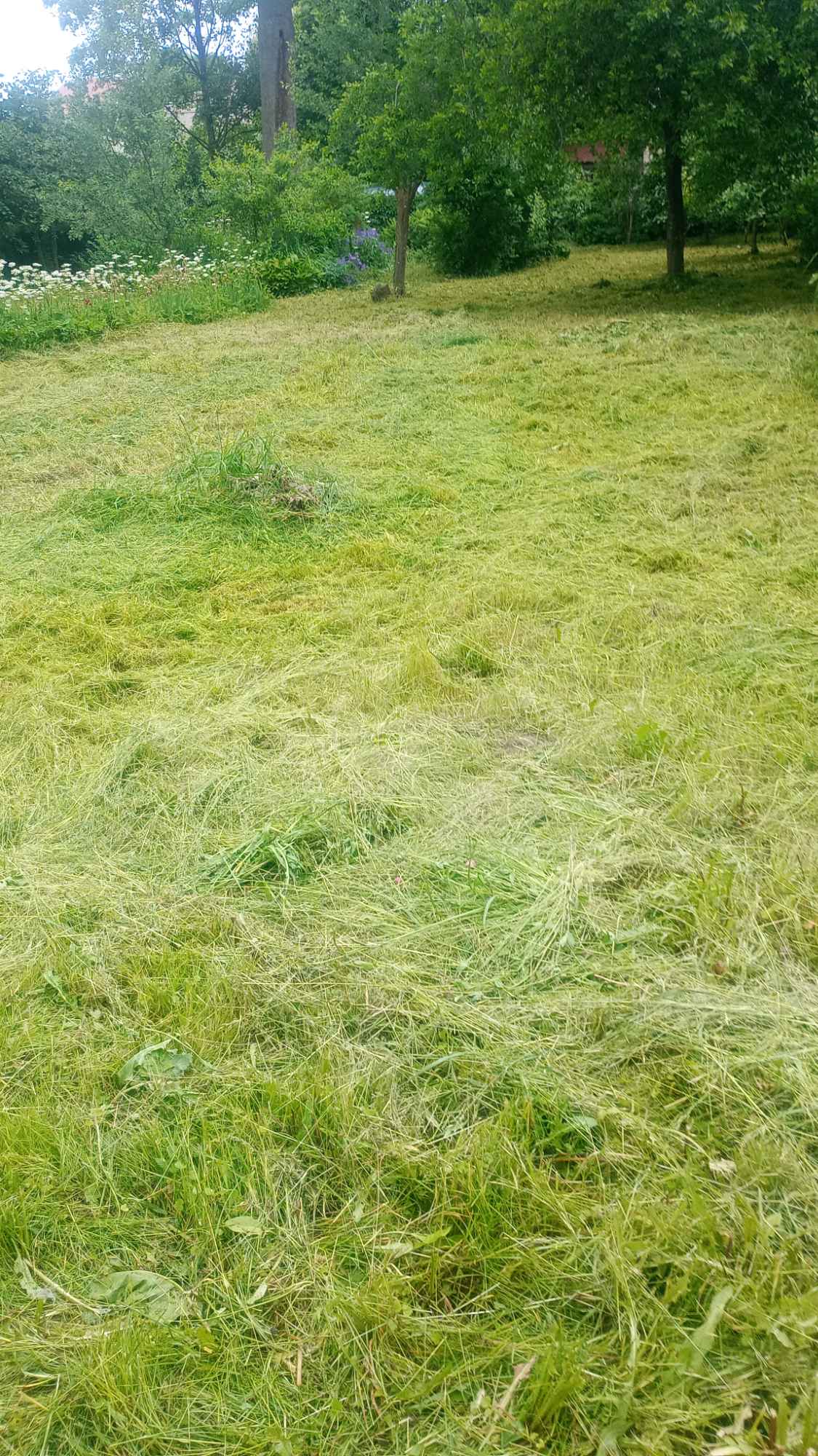 Działka 800m2 Darskowo - zdjęcie 8