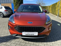 Ford Escape 2.0 EcoBoost, automat,4x4 Tarnów - zdjęcie 9