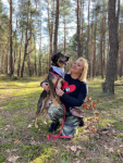 Borys - psia przylepa, kochany, zrównoważony! Gdańsk - zdjęcie 4