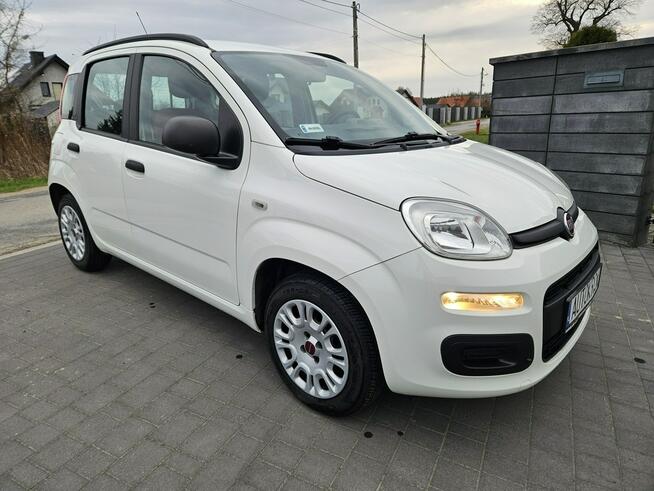 Fiat Panda Bezwypadkowy,Polski salon Liszki - zdjęcie 3