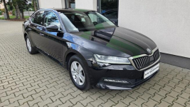 Škoda Superb 1.5 TSI DSG 150KM Ambition, salon PL, gwarancja, EXPORT Siedlce - zdjęcie 12
