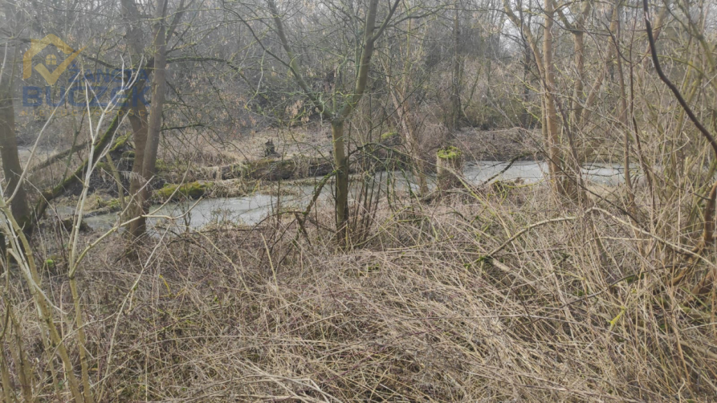 Sprzedam działki rolne z WZ w Strzyżewie Strzyżew - zdjęcie 7