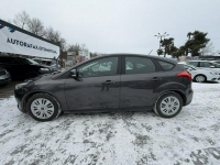 Ford Focus Klimatyzacja, PL salon, Pierwzy właściciel, 2 kpl. kół Cieszyn - zdjęcie 7