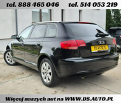 Audi A3 8P • 1.6 benz MPI • 5 drzwi • 2006 • jasne wnętrze • z Niemiec Nowe Miasto Lubawskie - zdjęcie 5