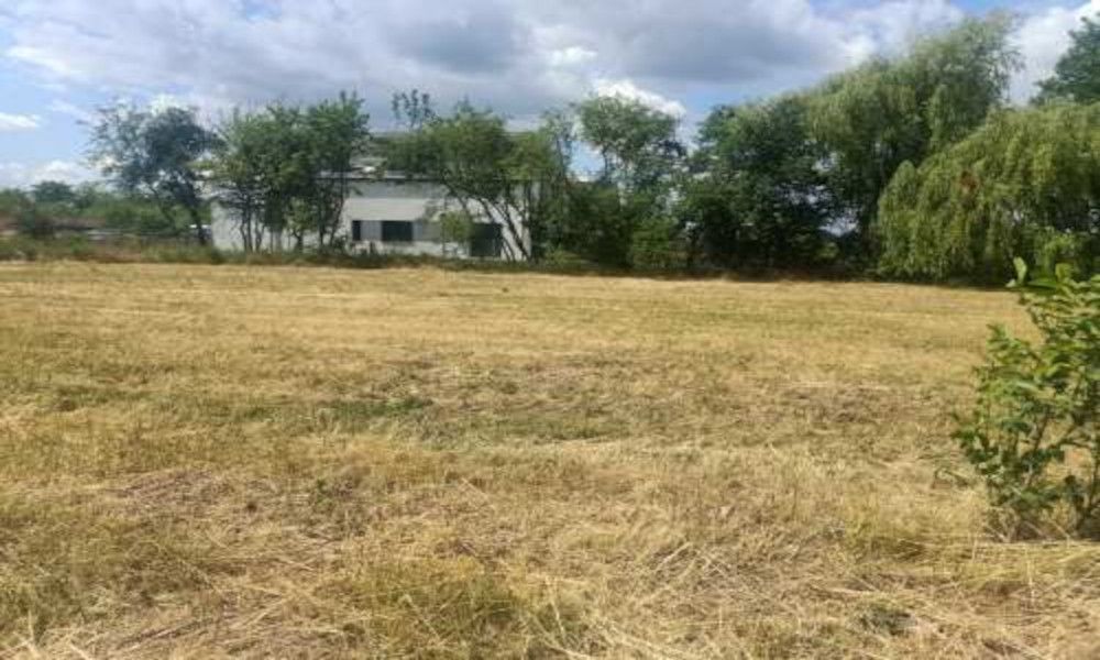 Duża działka MPZP Skórzewo - zdjęcie 3