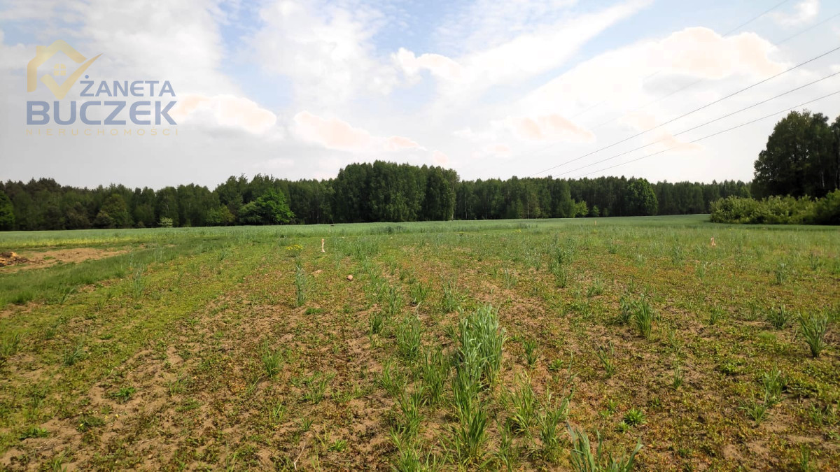 Sprzedam działki budowlane w Orłach Cesin Orły-Cesin - zdjęcie 4