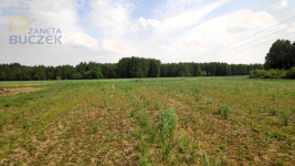 Sprzedam działki budowlane w Orłach Cesin Orły-Cesin - zdjęcie 4