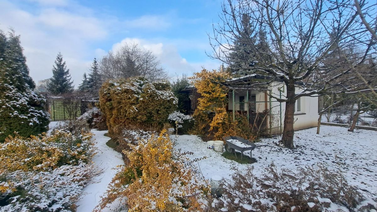 Działka ROD z domkiem | Duża działka Wilda - zdjęcie 2