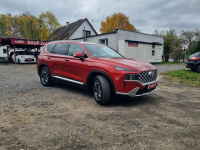 Hyundai Santa Fe Salon PL I WŁ - PLATINIUM - Faktura Vat Szczecin - zdjęcie 7