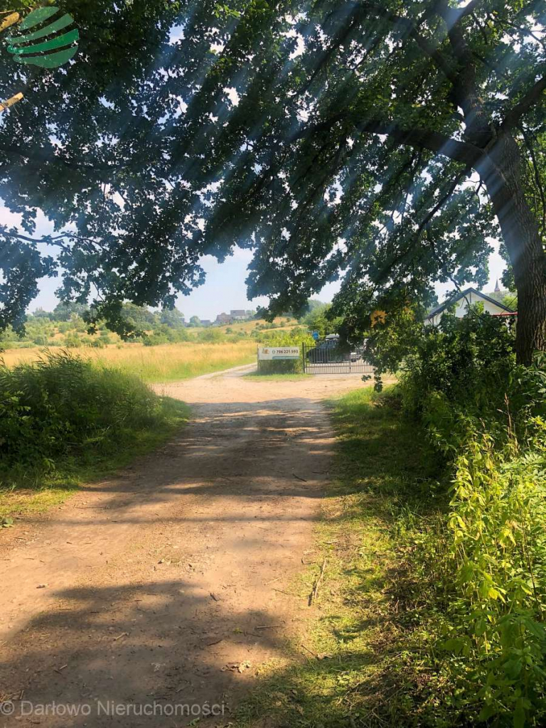 Działka budowlana 42/78 blisko morza  - Rusinowo n Rusinowo - zdjęcie 4