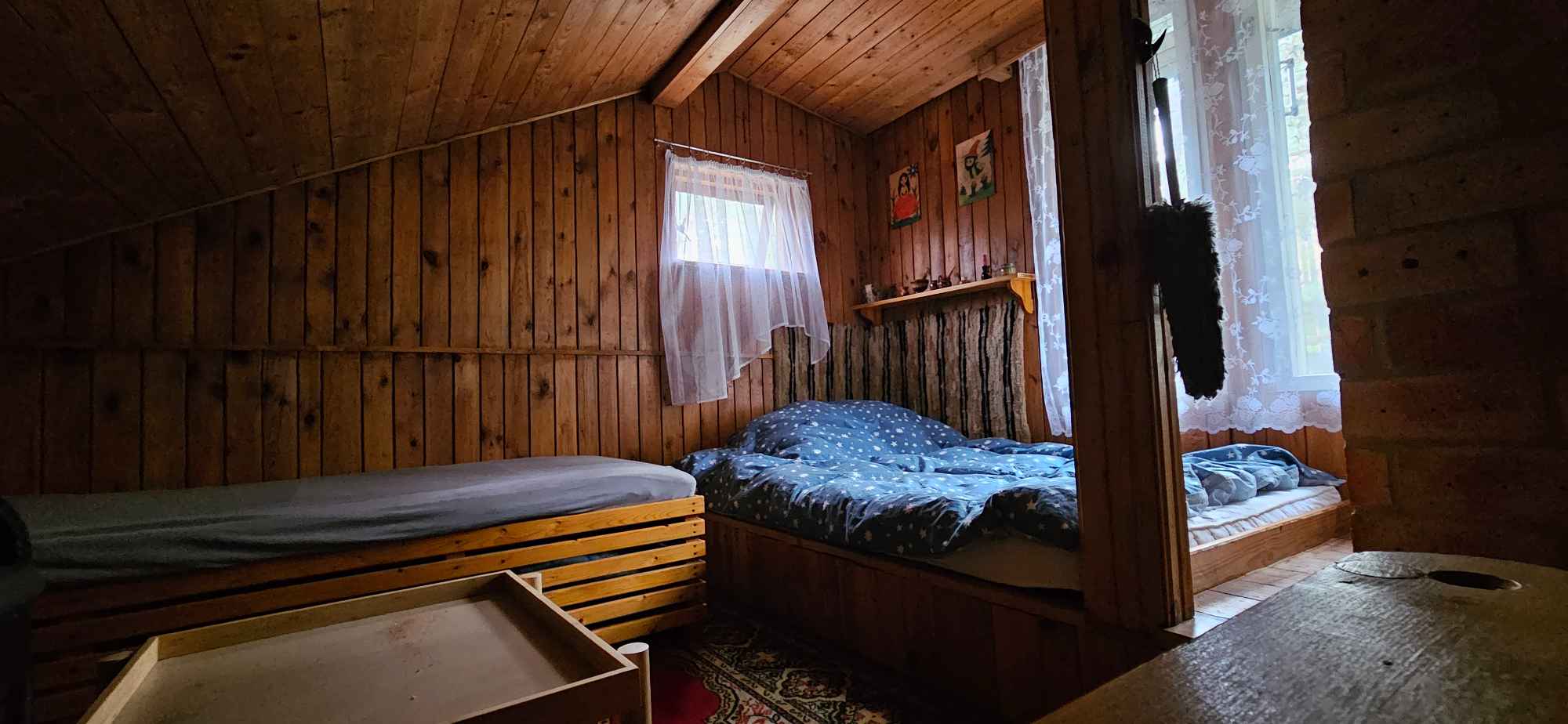 Działka leśna Topolina gmina Wieliszew Topolina - zdjęcie 6