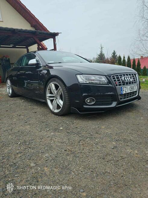 Audi S5 4.2 v 8  4x4 Łaz - zdjęcie 4