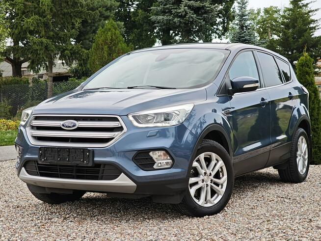 Ford Kuga Sadlno - zdjęcie 5
