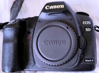 Canon EF 5D Mark II stan bardzo dobry  przebieg migawki tylko 23 650 Bałuty - zdjęcie 1