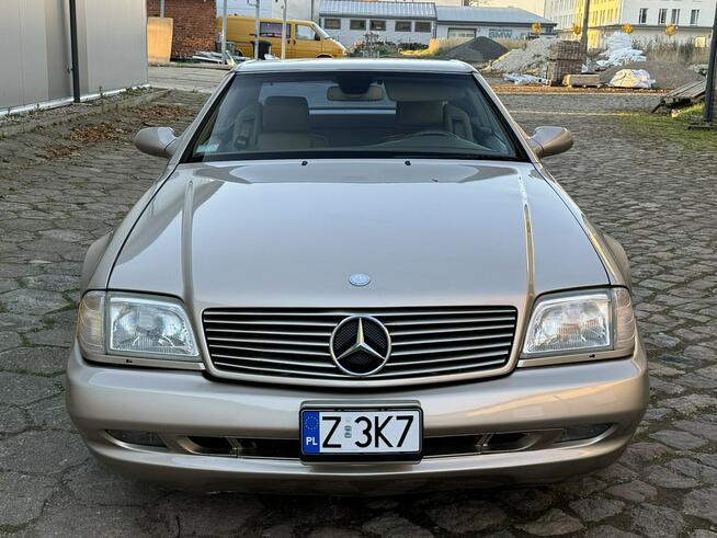 Mercedes SL 500 2000 SL500 pakiet AMG LIFT zarejestrowny LUXURYCLASSIC Koszalin - zdjęcie 8