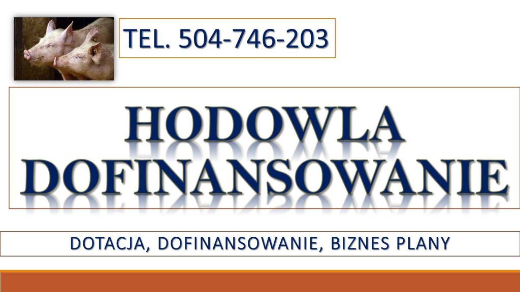 Dotacje do hodowli , tel. 504-746-203. dofinansowanie dla hodowców Psie Pole - zdjęcie 1