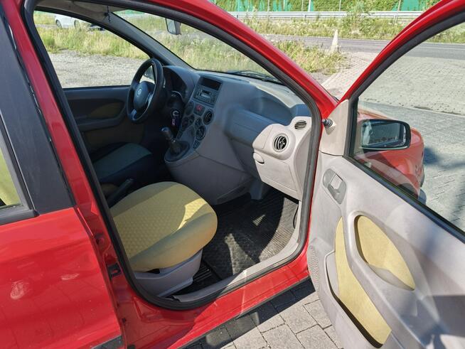 Fiat Panda Lipówki - zdjęcie 10