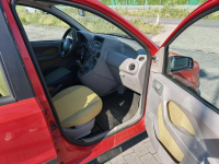 Fiat Panda Lipówki - zdjęcie 10