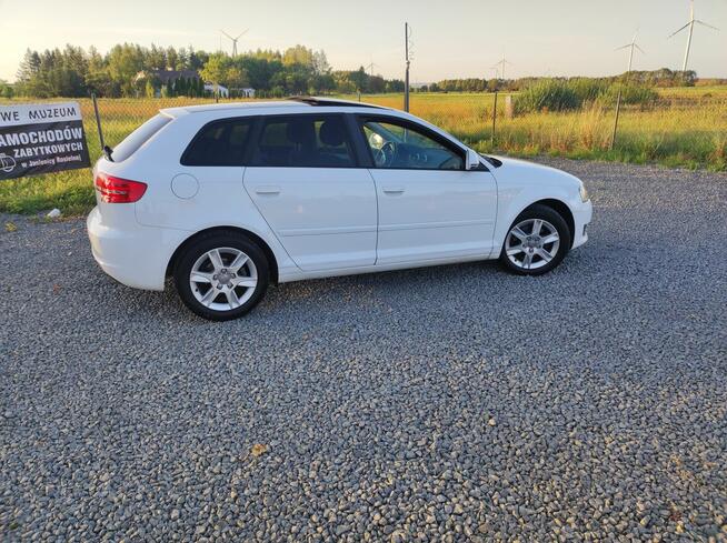 Audi A3 1.6 MPI Panorama z Niemiec Rymanów - zdjęcie 6