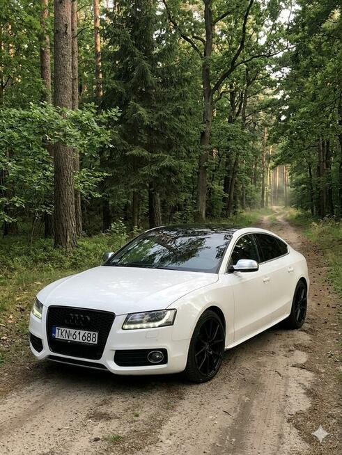 Audi S5 Warka - zdjęcie 10