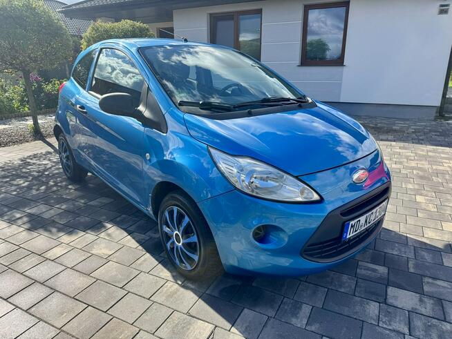 Ford Ka ( Fiat 500 ) 141 tys km Klimatyzacja Bardzo Ładny Super Cena Szerominek - zdjęcie 1