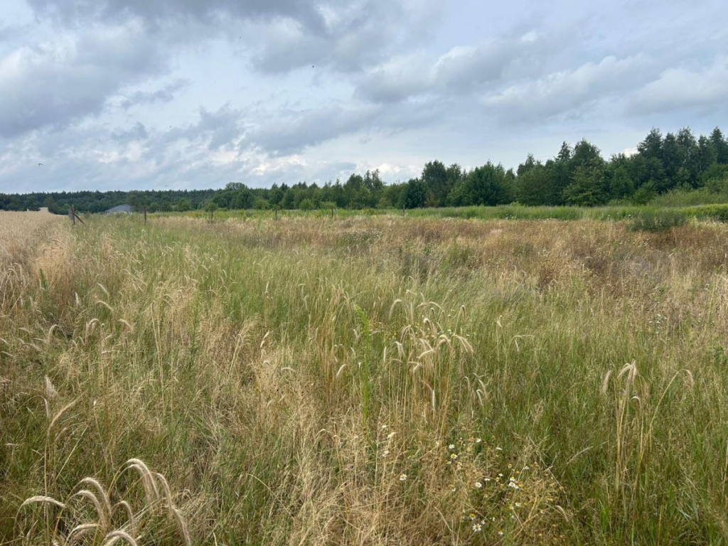 Działki budowlane z WZ, w zielonej części Poznania Poznań - zdjęcie 5