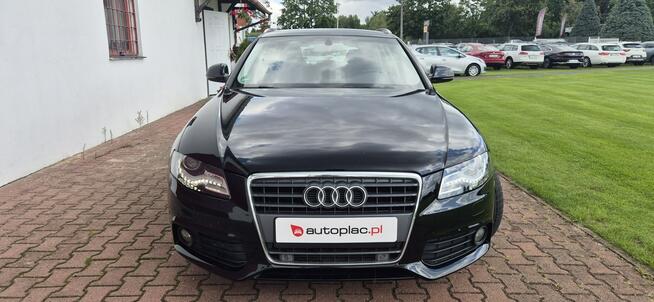 Audi A4 TDI-AVANT-AUTOMAT-LED Paproć - zdjęcie 2