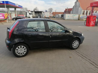 Fiat Punto 2 Recz - zdjęcie 2